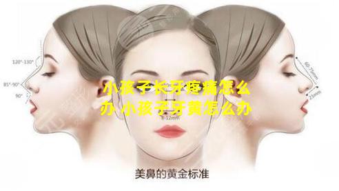 小孩子长牙疼痛怎么办 小孩子牙黄怎么办